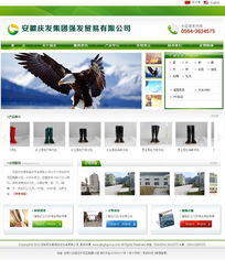 專業(yè)企業(yè)網(wǎng)站建設(shè)方案 龍訊助力網(wǎng)站規(guī)劃設(shè)計